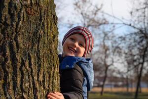 liten pojke är dölja Bakom en stor träd. en barn kikar ut från Bakom en träd trunk. foto