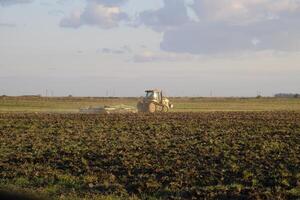 traktor plöjning plog de fält. bearbetning de jord i de falla efter skörda. de slutet av de säsong foto