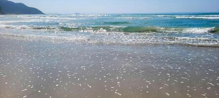 bild av hav vågor på de norr kust av Brasilien i ubatuba itamambuca strand foto