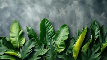 ai genererad tropisk löv anordnad på minimalistisk ytor, visa upp de skönhet av natur i en minimalistisk sätt foto