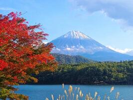 naturlig fotografi i Japan, montera fuji berg med snö topp, sjö och röd träd foto