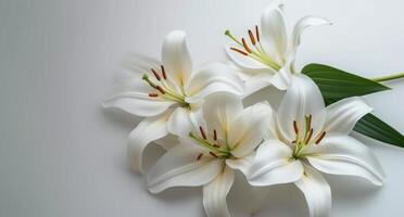 ai genererad liljor på en vit bakgrund foto
