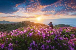 vår se av rosa azalea blommor på hwangmaesan berg med de bakgrund av solljus och dimmig berg räckvidd nära hapcheon-gun, söder korea foto