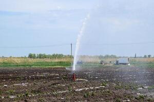 bevattning systemet i fält av meloner. vattning de fält. sprinkler foto