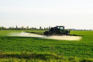 traktor med de hjälp av en spruta sprayer flytande gödselmedel på ung vete i de fält. foto