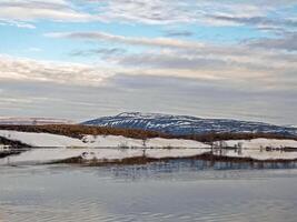 flod landskap tidigt vår. bar träd, smältande snö. foto