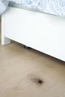 kvinnor förlorat hår droppar på golv foto