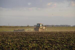 traktor plöjning plog de fält. bearbetning de jord i de falla efter skörda. de slutet av de säsong foto