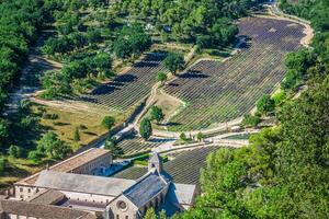 abbaye de senanque nära by Gordes, vaucluse område, provence, Frankrike foto