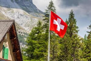 swiss flagga - nationell symbol av schweiz med alps i bakgrund foto