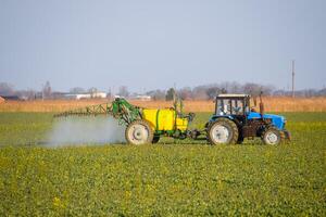 traktor befruktar en raps fält, besprutning gödselmedel med en traktor. foto