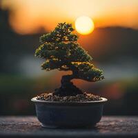 ai genererad bonsai träd i en minimalistisk krukväxt pott foto