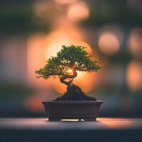 ai genererad bonsai träd i en minimalistisk krukväxt pott foto