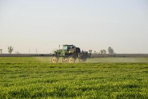 traktor på de solnedgång bakgrund. traktor med hög hjul är framställning gödselmedel på ung vete. de använda sig av av fint spridda spray kemikalier foto