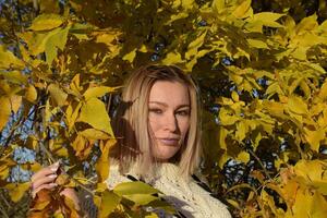 flicka på en bakgrund av gul löv av höst träd. höst Foto session.