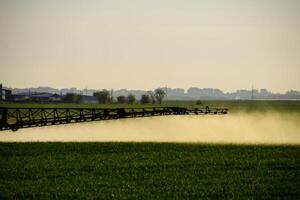 traktor med de hjälp av en spruta sprayer flytande gödselmedel på ung vete i de fält. foto