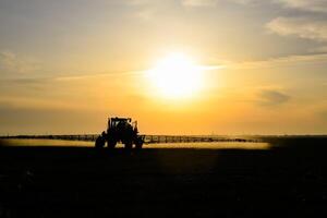 traktor med de hjälp av en spruta sprayer flytande gödselmedel på ung vete i de fält. foto