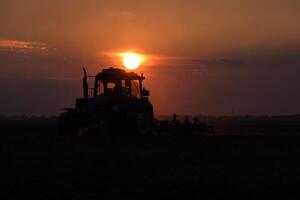 traktor plöjning plog de fält på en bakgrund solnedgång. traktor silhuett på solnedgång bakgrund foto