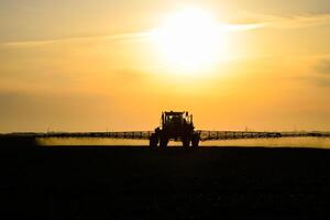 traktor med de hjälp av en spruta sprayer flytande gödselmedel på ung vete i de fält. foto