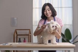 kvinna professionell groomer trimning frisyr och kammande hund päls på sällskapsdjur spa grooming salong foto