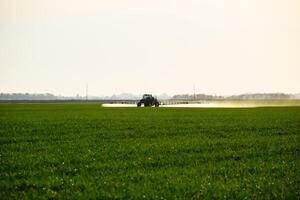 traktor med de hjälp av en spruta sprayer flytande gödselmedel på ung vete i de fält. foto