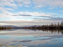 flod landskap tidigt vår. bar träd, smältande snö. foto