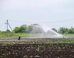 bevattning systemet i fält av meloner. vattning de fält. sprinkler foto