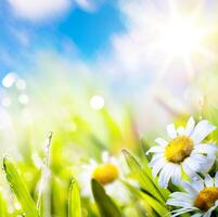 konst abstrakt bakgrund springr blomma i gräs på Sol himmel foto