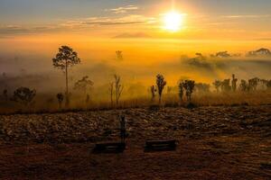 landskap av sväng salaeng luang nationell parkera Phetchabun provins skön natur av soluppgång och morgon- dimma i de savann i vinter- säsong thailand. foto