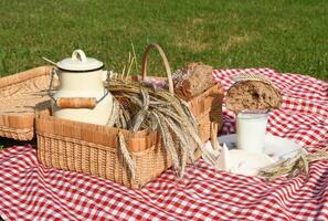 picknick med färsk bröd och mjölk på en röd rutig överkast på en grön gräsmatta foto