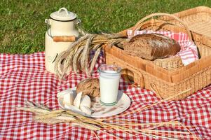 picknick med färsk bröd och mjölk på en röd rutig filt på en grön gräsmatta, sorglös sommar Semester utomhus foto