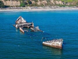 gammal tankfartyg fartyg förstöra nära de kust av Kalifornien, usa. foto