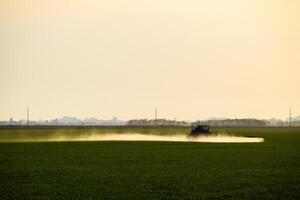 traktor med de hjälp av en spruta sprayer flytande gödselmedel på ung vete i de fält. foto