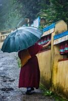 buddist munk med paraply i mcleod ganj foto