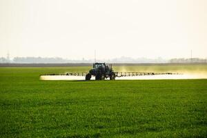 traktor med de hjälp av en spruta sprayer flytande gödselmedel på ung vete i de fält. foto