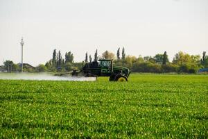 traktor med de hjälp av en spruta sprayer flytande gödselmedel på ung vete i de fält. foto