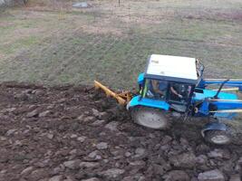 traktor plöjning de trädgård. plöjning de jord i de trädgård foto