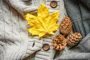 höstens gula och röda lönnlöv på bakgrunden av grå mysig stickad tröja