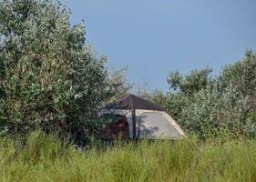 turist tält under en träd. turist camping. multi-tält foto