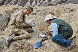 paleontologer ha upptäckt en fossiler i de öken- foto