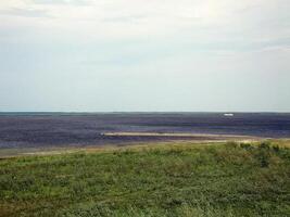 landskap av de tundra i sommar. sommar tundra på de yamal pe foto