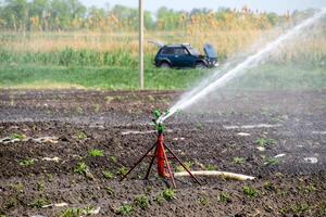 bevattning systemet i fält av meloner. vattning de fält. sprinkler foto