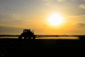 traktor med de hjälp av en spruta sprayer flytande gödselmedel på ung vete i de fält. foto