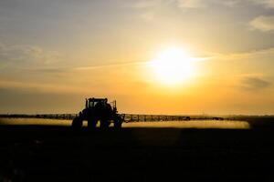 traktor med de hjälp av en spruta sprayer flytande gödselmedel på ung vete i de fält. foto