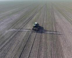 traktor med gångjärn systemet av besprutning bekämpningsmedel. gödsling med en traktor, i de form av ett aerosol, på de fält av vinter- vete. foto