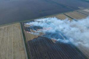 brinnande sugrör i de fält efter skörd vete beskära foto