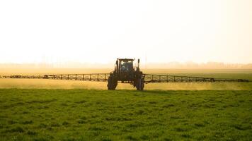 traktor på de solnedgång bakgrund. traktor med hög hjul är framställning gödselmedel på ung vete. foto