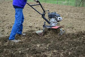 plantering potatisar under de gå-bakom traktor foto