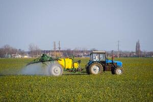 traktor befruktar en raps fält, besprutning gödselmedel med en traktor. foto