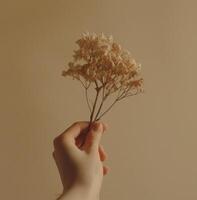 ai genererad en personens hand är innehav en torkades blomma på en beige bakgrund foto
